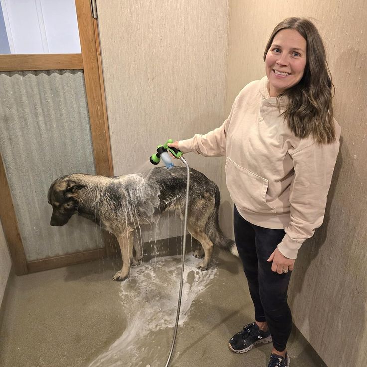 PetSpaJet™-Dog Washer