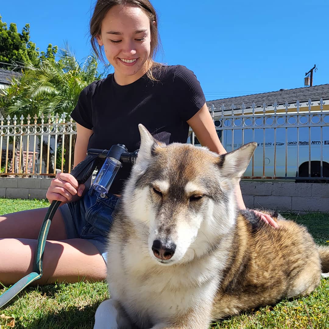 PetSpaJet™-Dog Washer