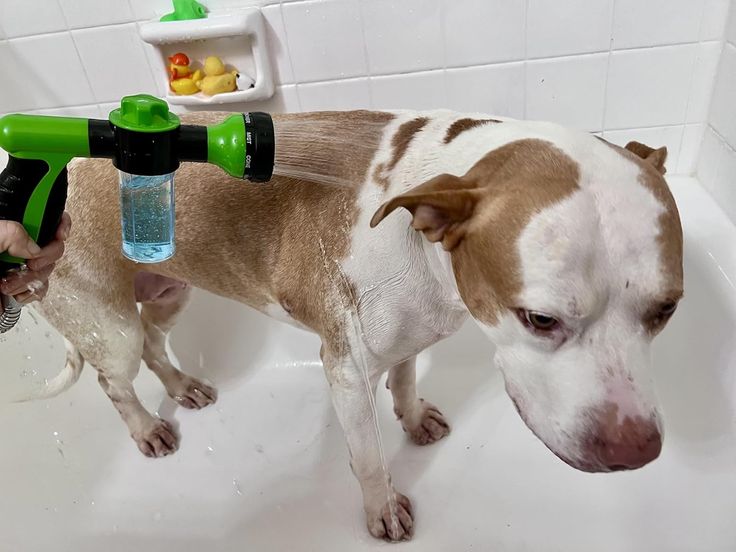 PetSpaJet™-Dog Washer