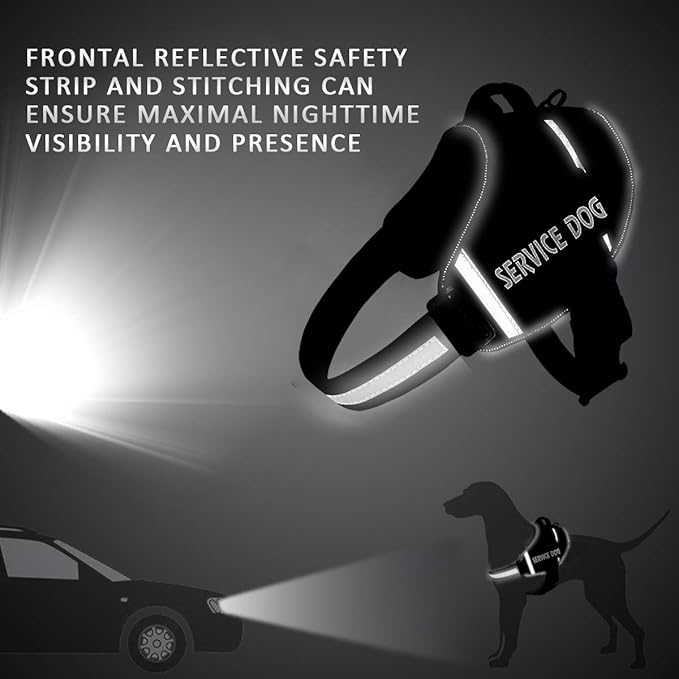 HARNESS BIKZEN Pro 2.0