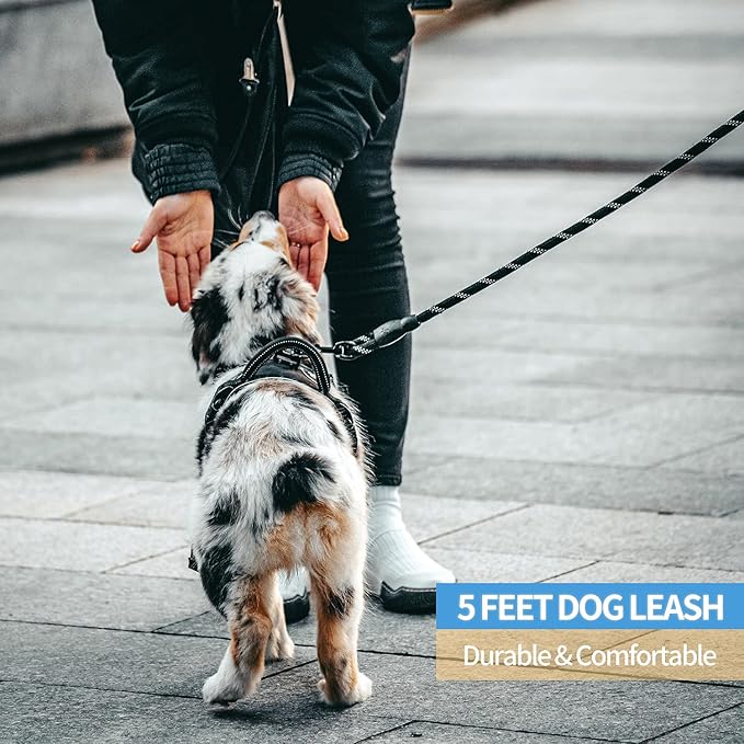LEASH BIKZEN