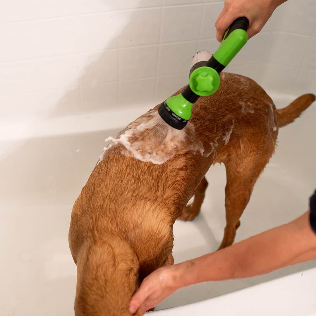 PetSpaJet™-Dog Washer