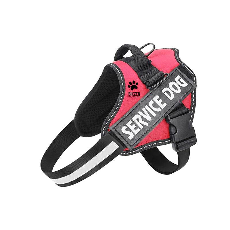 HARNESS BIKZEN Pro 2.0