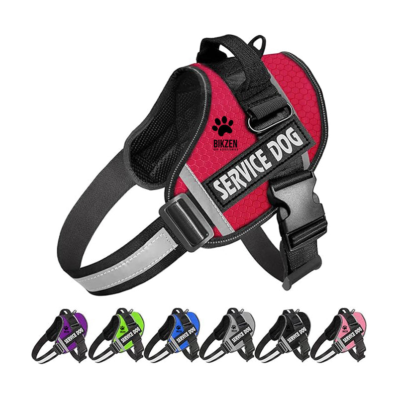 HARNESS BIKZEN Pro 2.0