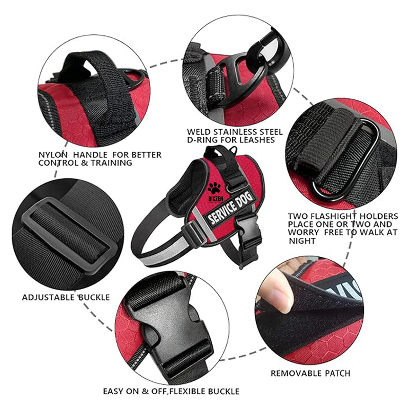 HARNESS BIKZEN Pro 2.0