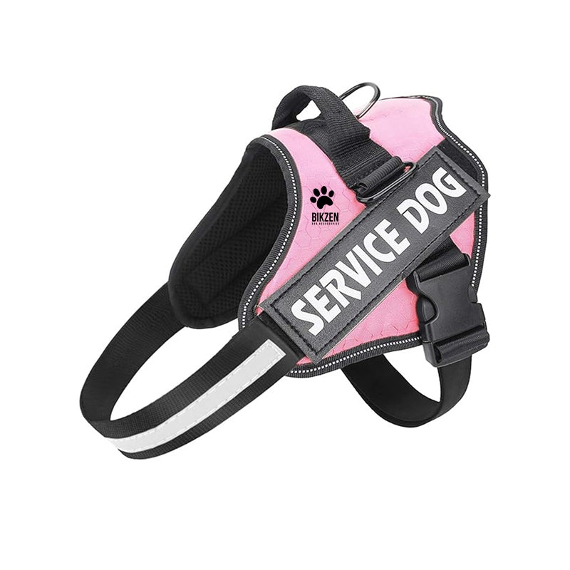 HARNESS BIKZEN Pro 2.0
