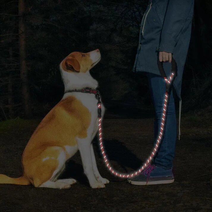 LEASH BIKZEN