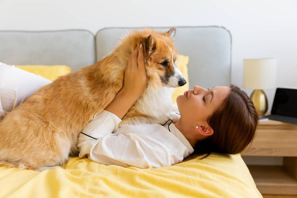 How to Get Pet Hair Out of Bedding