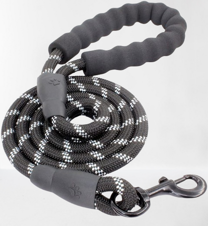 Dog Leash