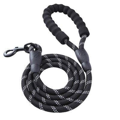 Dog Leash