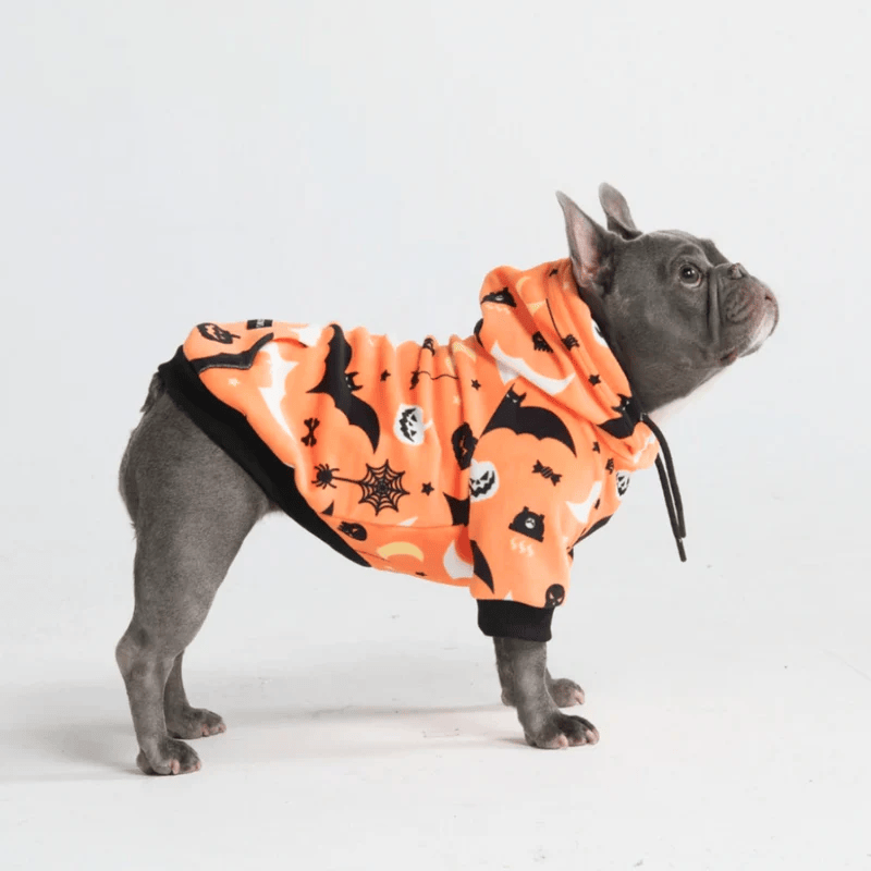 Halloween Dog Hoodies